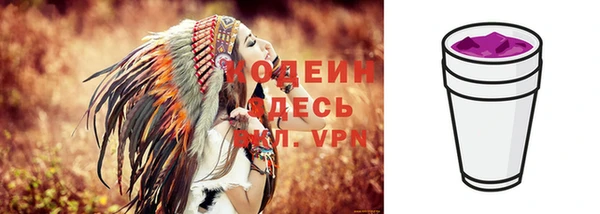 хмурый Липки