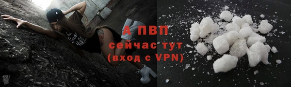 хмурый Липки