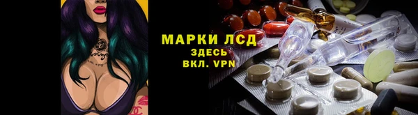 хмурый Липки