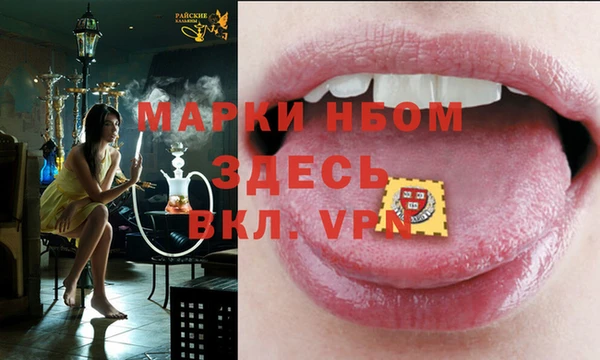 хмурый Липки