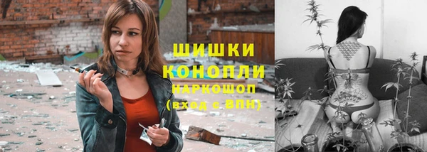 хмурый Липки