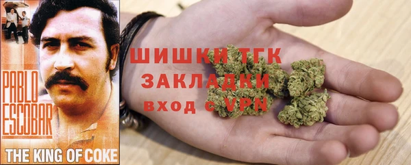 хмурый Липки